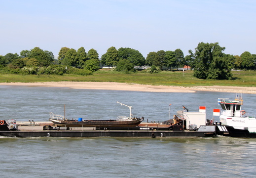 SB Mustang mit Deckprahm 2570 und Ponton