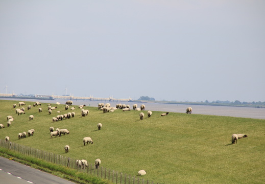 URLAUBE