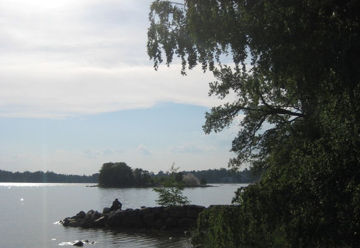 6890 Hki Seurasaari 2013-06-08