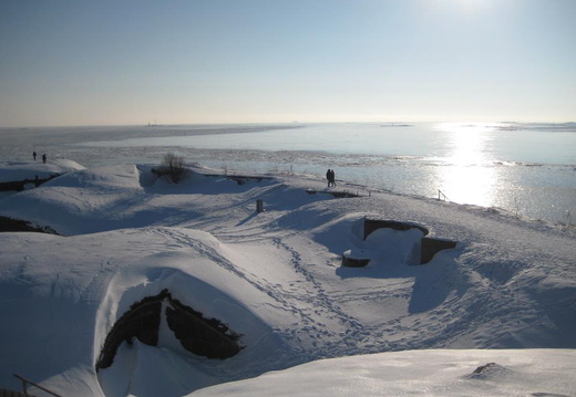 323 Minna482164 4709468850831 879827331 n