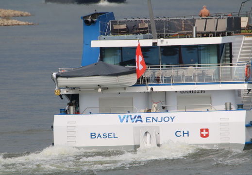Viva Enjoy 1