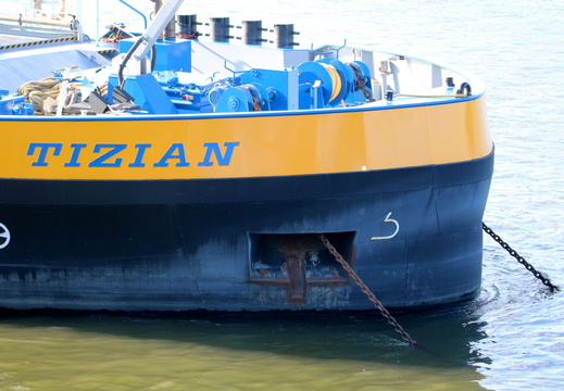 Tizian TMS 6